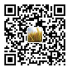 微信營(yíng)銷(xiāo)微分銷(xiāo)